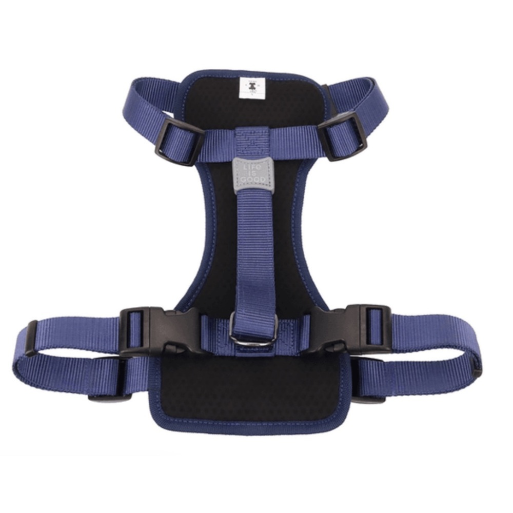 Life is Good Daisy Dog Harness- Baja Yellow - Picture 2 of 8